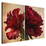 Modulaire canvasprint Levendige rode bloemen in zacht licht
