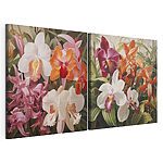 Modulaire canvasprint Kleurrijke orchideeën in volle bloei