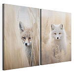 Modulaire canvasprint Collage van twee vossen