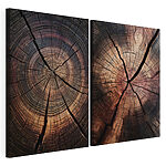 Modulaire canvasprint De verfijnde houtpatronen van de natuur onthuld